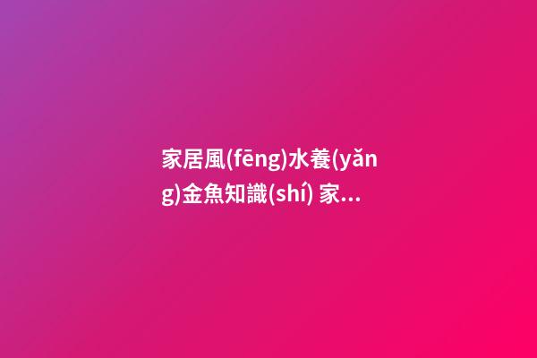 家居風(fēng)水養(yǎng)金魚知識(shí) 家居風(fēng)水養(yǎng)金魚禁忌
